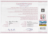 Certificate icon